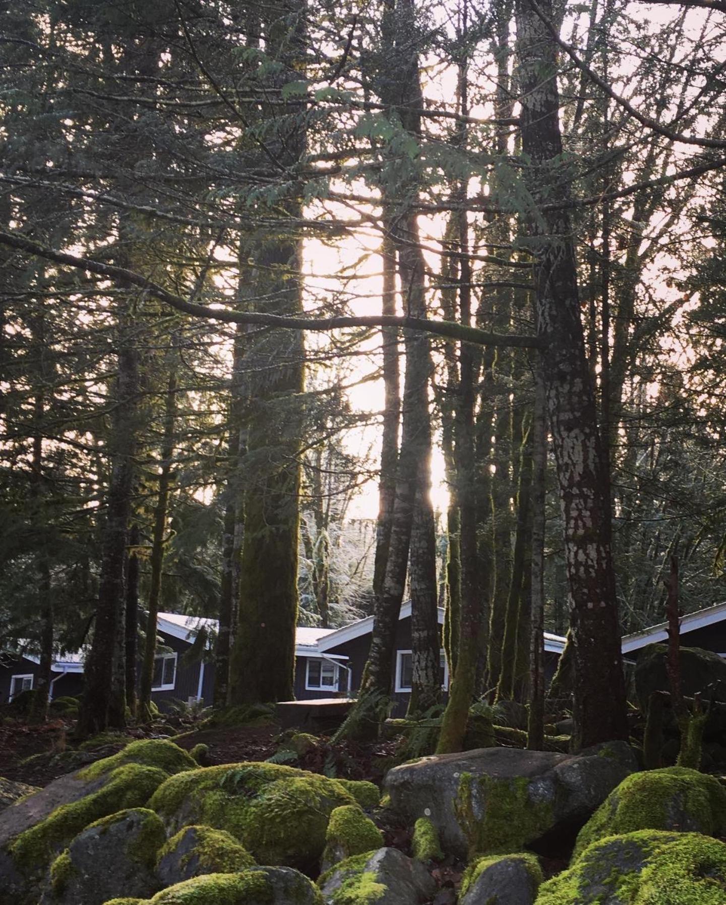 Sunwolf Riverside Resort Brackendale